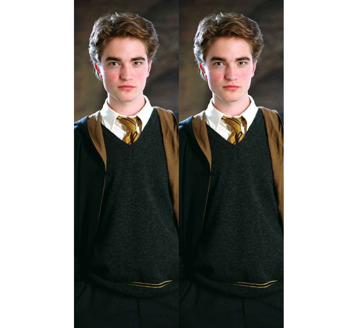 The Magical History Of Cedric Diggory From Harry Potter