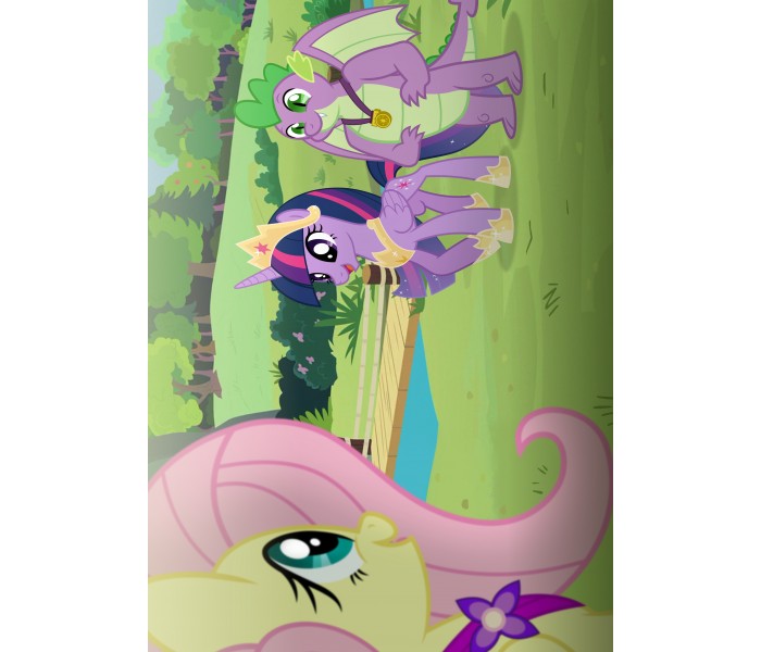 Плакат по Мультсериалу My Little Pony №67 