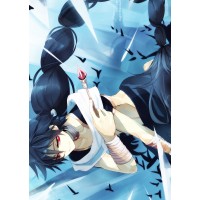 Плакат по аниме Маги: Лабиринт магии №1