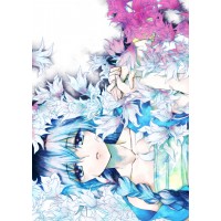 Плакат по аниме Маги: Лабиринт магии №25