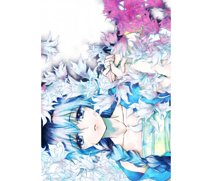 Плакат по аниме Маги: Лабиринт магии №25 