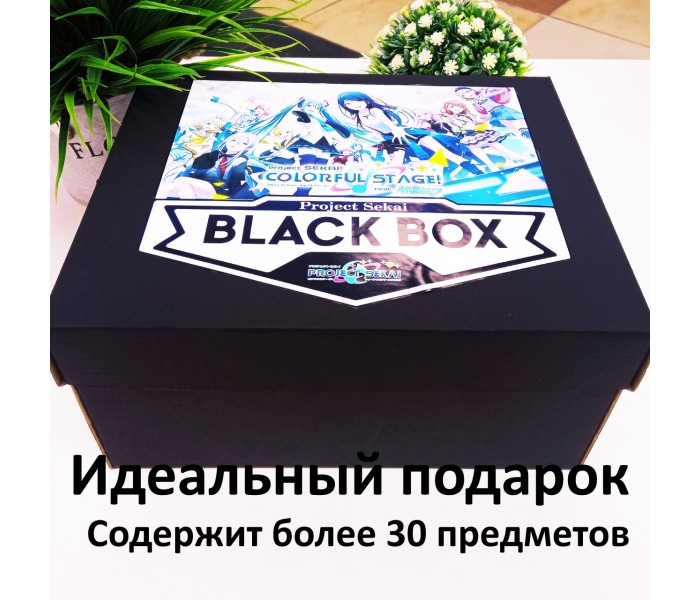 BLACK BOX Sekai Project 15263