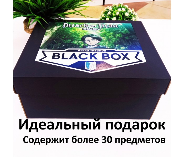 BLACK BOX АТАКА ТИТАНОВ