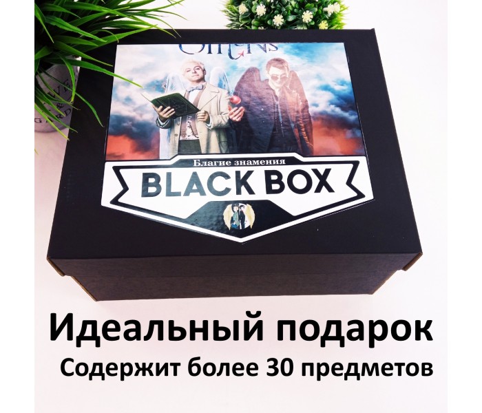 BLACK BOX Благие знамения 638772