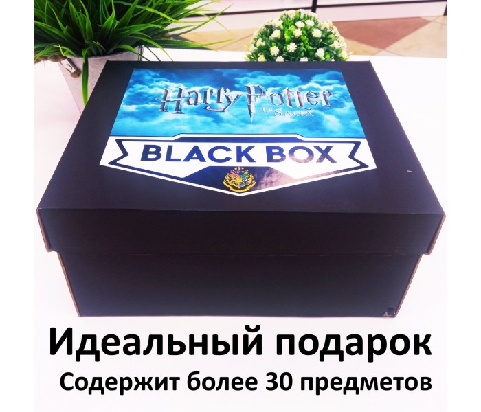 BLACK BOX Гарри Поттер 73572