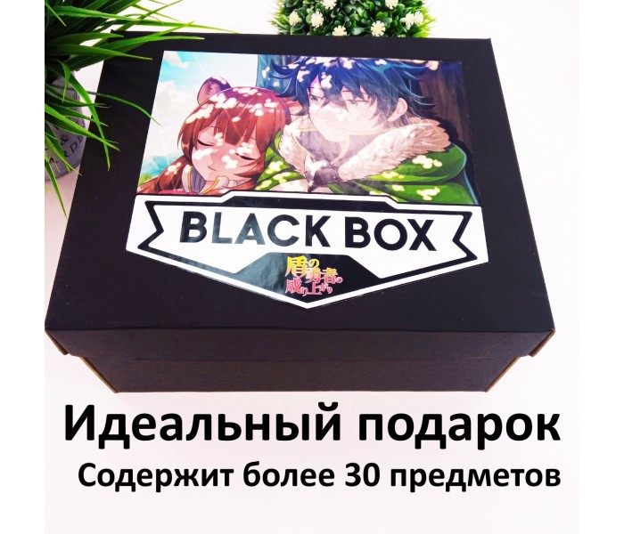 BLACK BOX ВОСХОЖДЕНИЕ ГЕРОЯ ЩИТА
