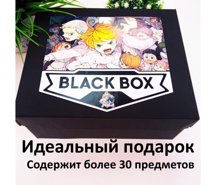 BLACK BOX ОБЕЩАННЫЙ НЕВЕРЛЕНД