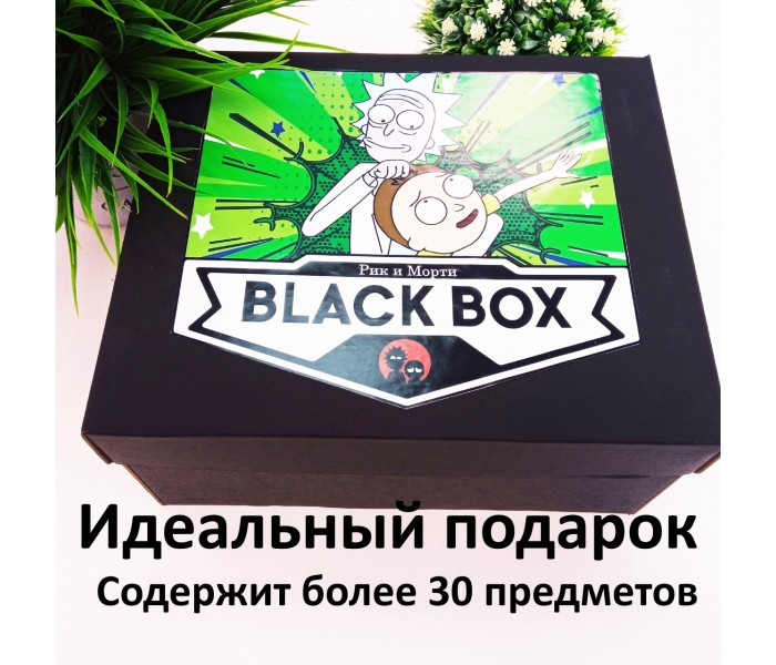 BLACK BOX Рик и Морти 26471